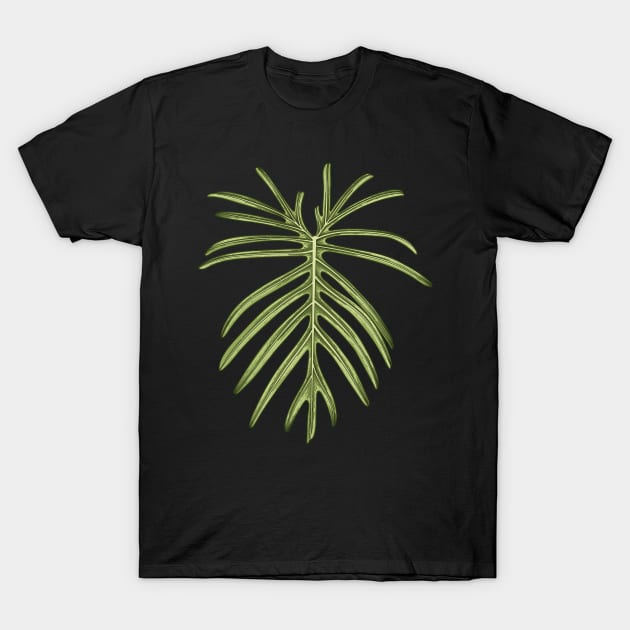 Philodendron Elegans Beauty Big Leaf T-Shirt by gronly